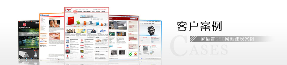 多语种（言）外贸网站建设案例
